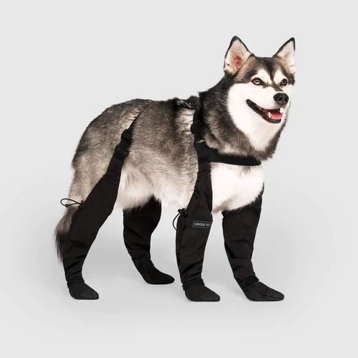 Durable Dog Boots for All Weather Protection | Waterproof Dog Shoes for Snow, Hiking, and Walking