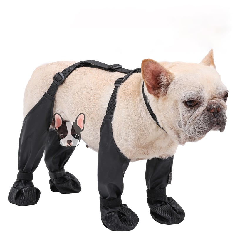 Durable Dog Boots for All Weather Protection | Waterproof Dog Shoes for Snow, Hiking, and Walking