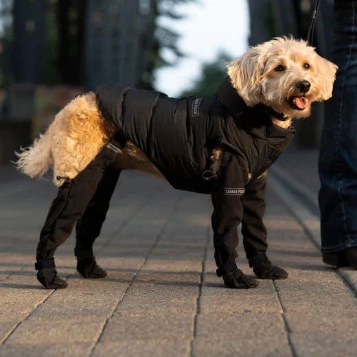 Durable Dog Boots for All Weather Protection | Waterproof Dog Shoes for Snow, Hiking, and Walking