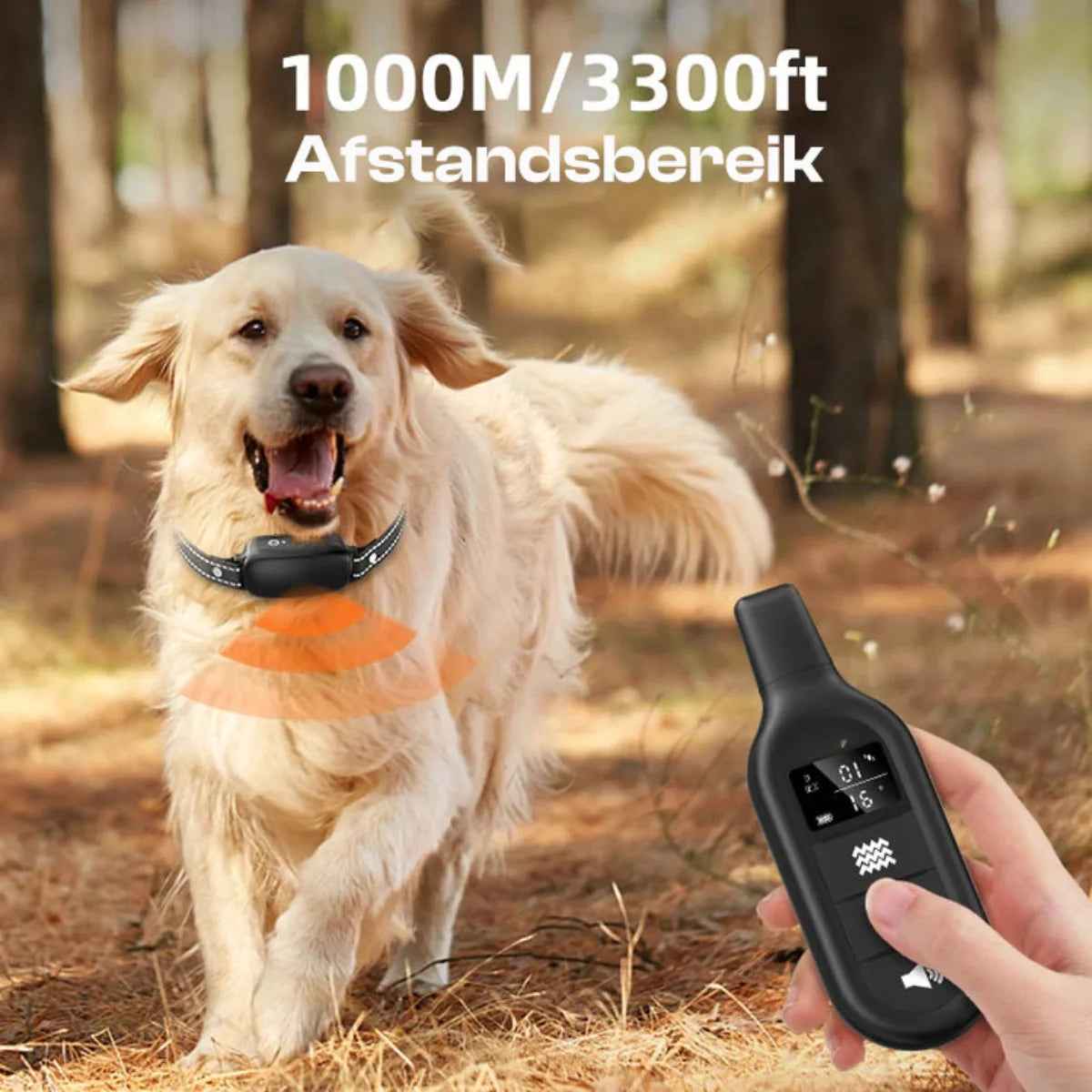 PetSafe | Electric Dog Training Collar with Remote Control, Waterproof, 16 Adjustable Shock Levels, 1000m Range, Beep & Vibration Modes