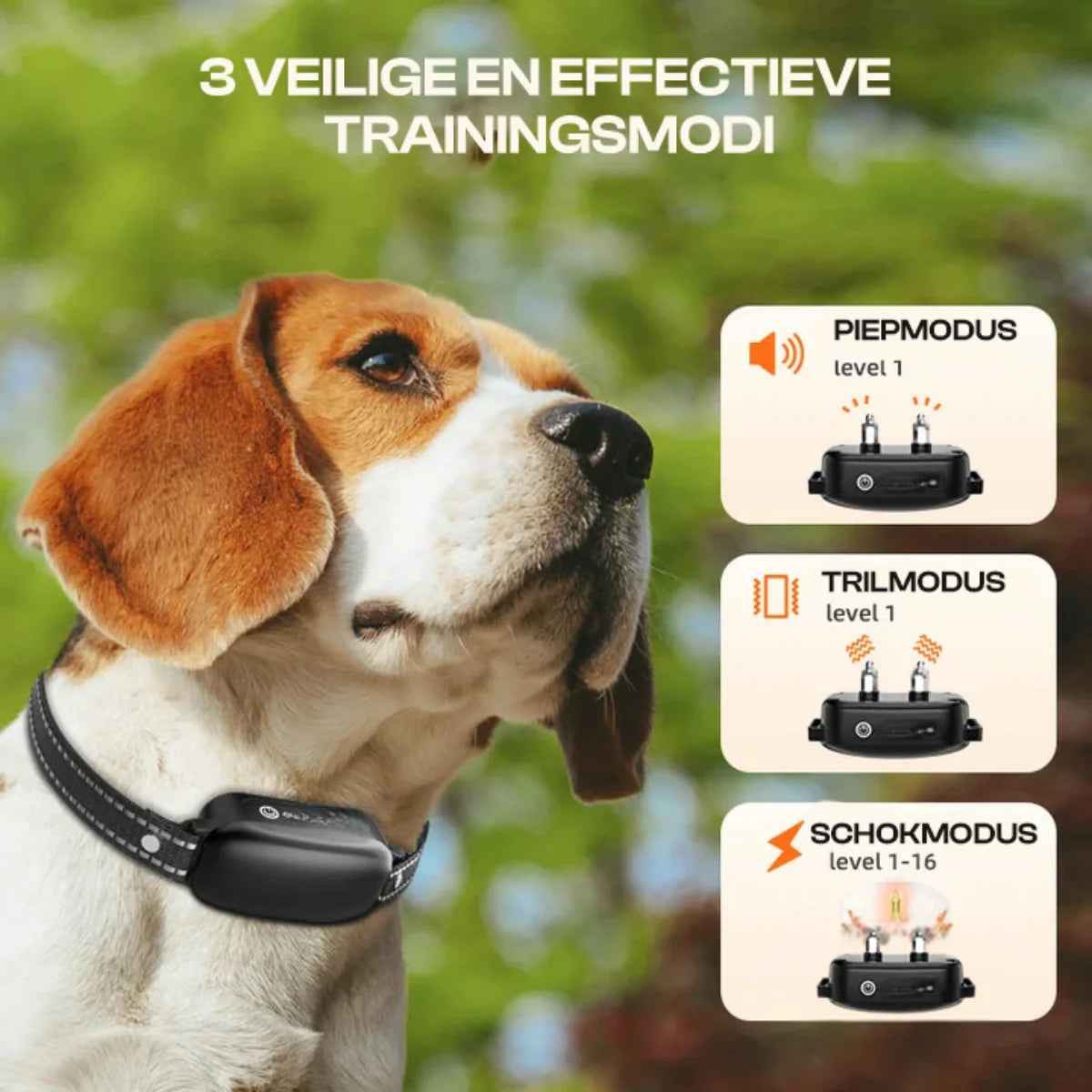 PetSafe | Electric Dog Training Collar with Remote Control, Waterproof, 16 Adjustable Shock Levels, 1000m Range, Beep & Vibration Modes