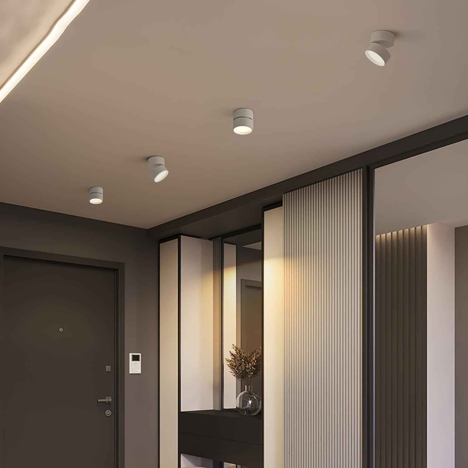 Lumary | Elegant Timeless Ceiling Lamp (2 Pack) for Stylish Living Spaces
