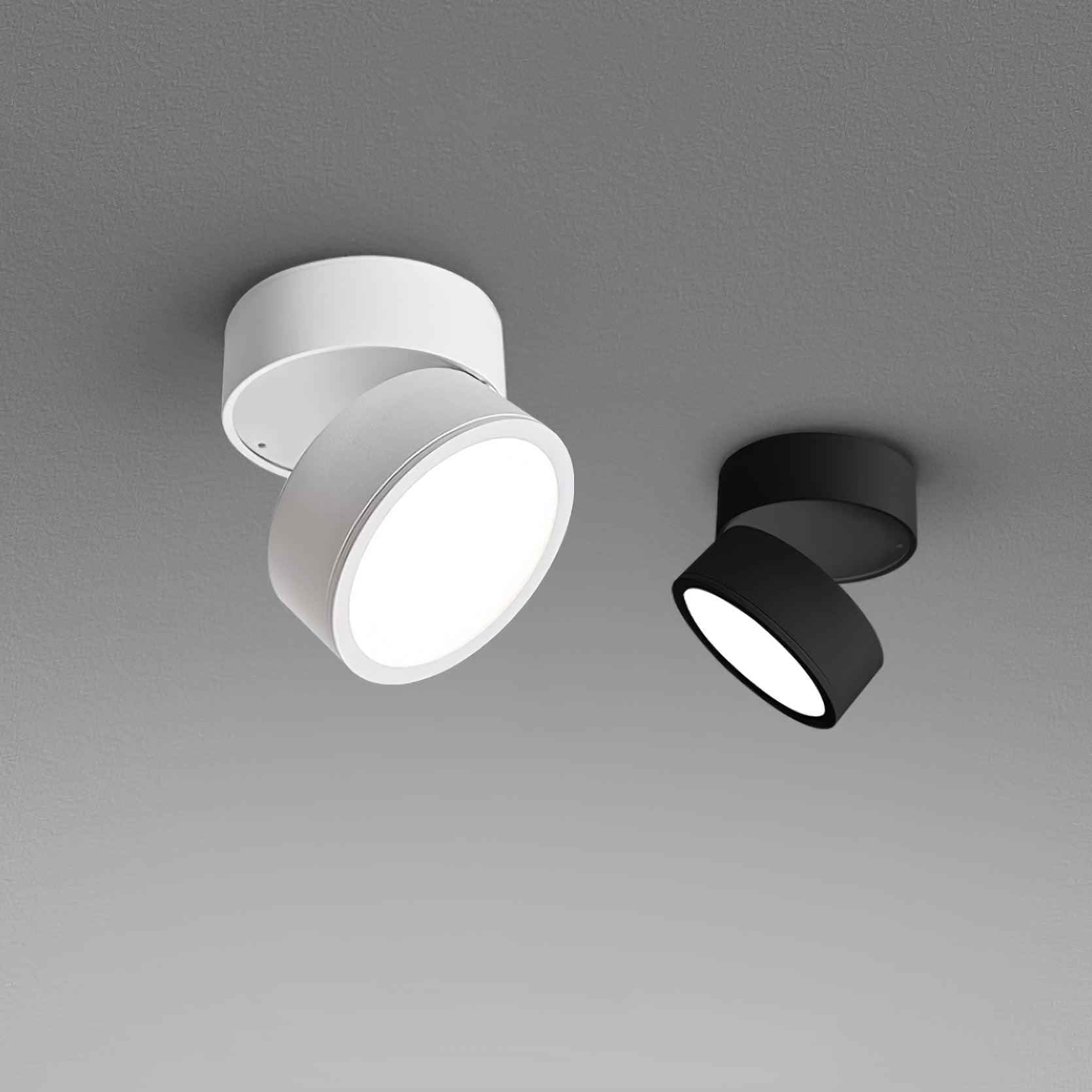 Lumary | Elegant Timeless Ceiling Lamp (2 Pack) for Stylish Living Spaces