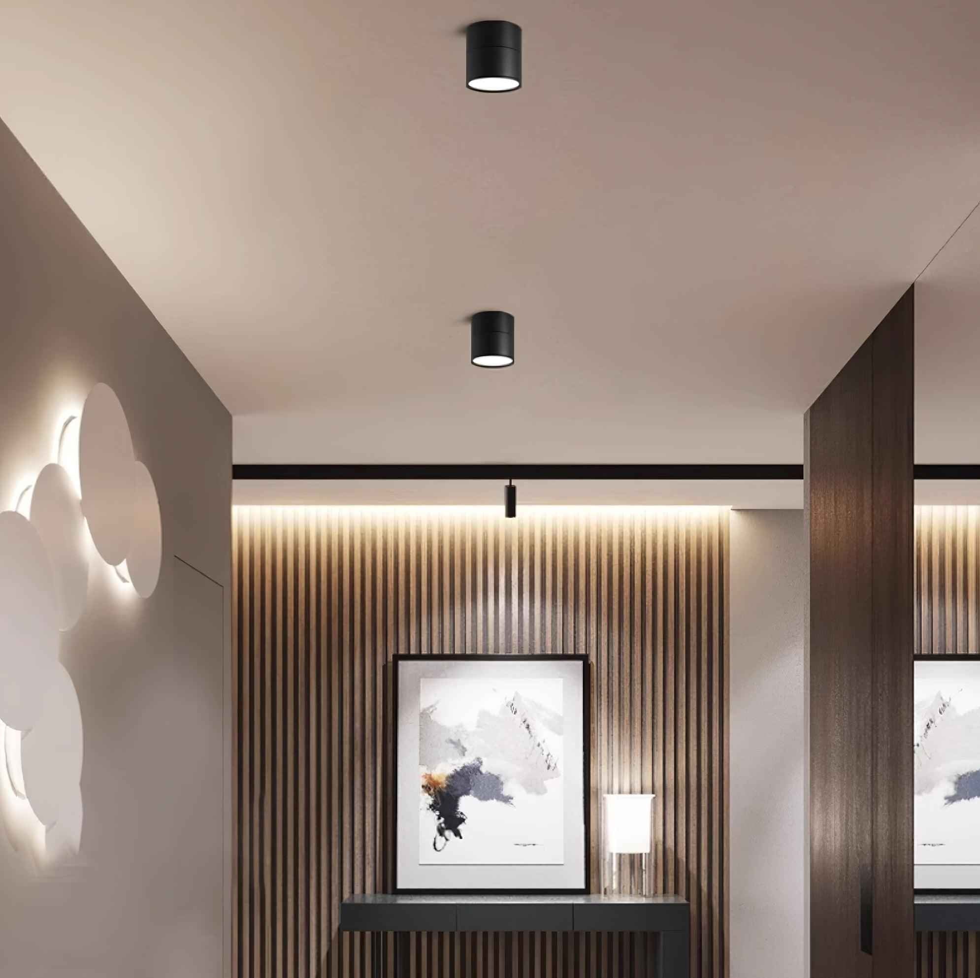 Lumary | Elegant Timeless Ceiling Lamp (2 Pack) for Stylish Living Spaces