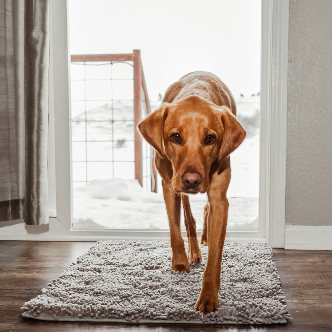 Joep | Highly Absorbent Dog Mat, Non-Slip Cleaning Mat for All Floor Types, Machine Washable, Durable Design