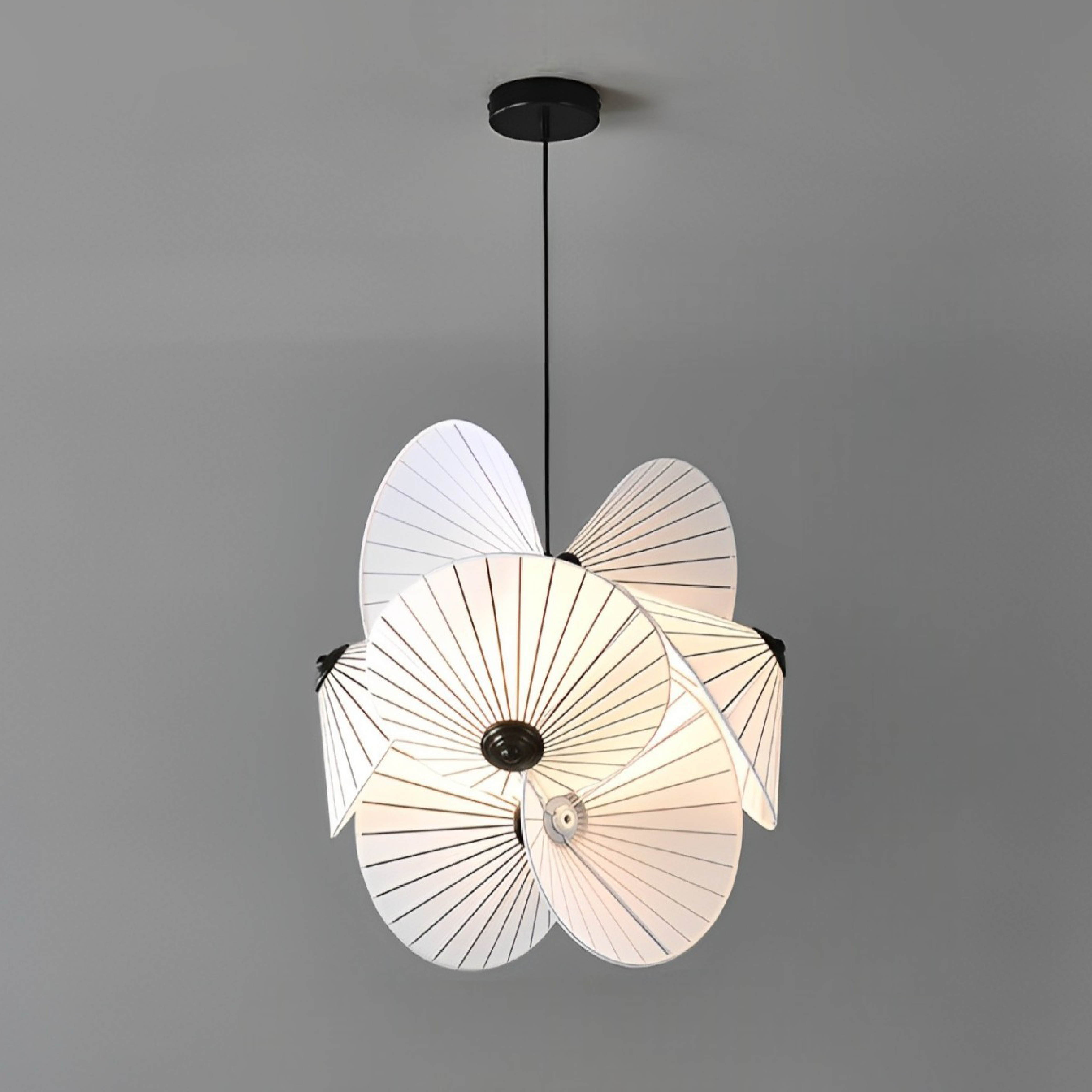 Bromeliad | Hanging Lamp