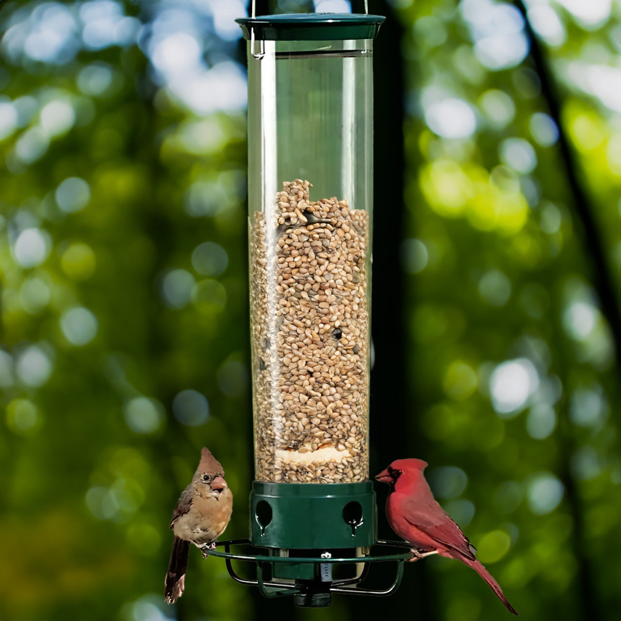 GoFeed | Squirrel Proof Bird Feeder