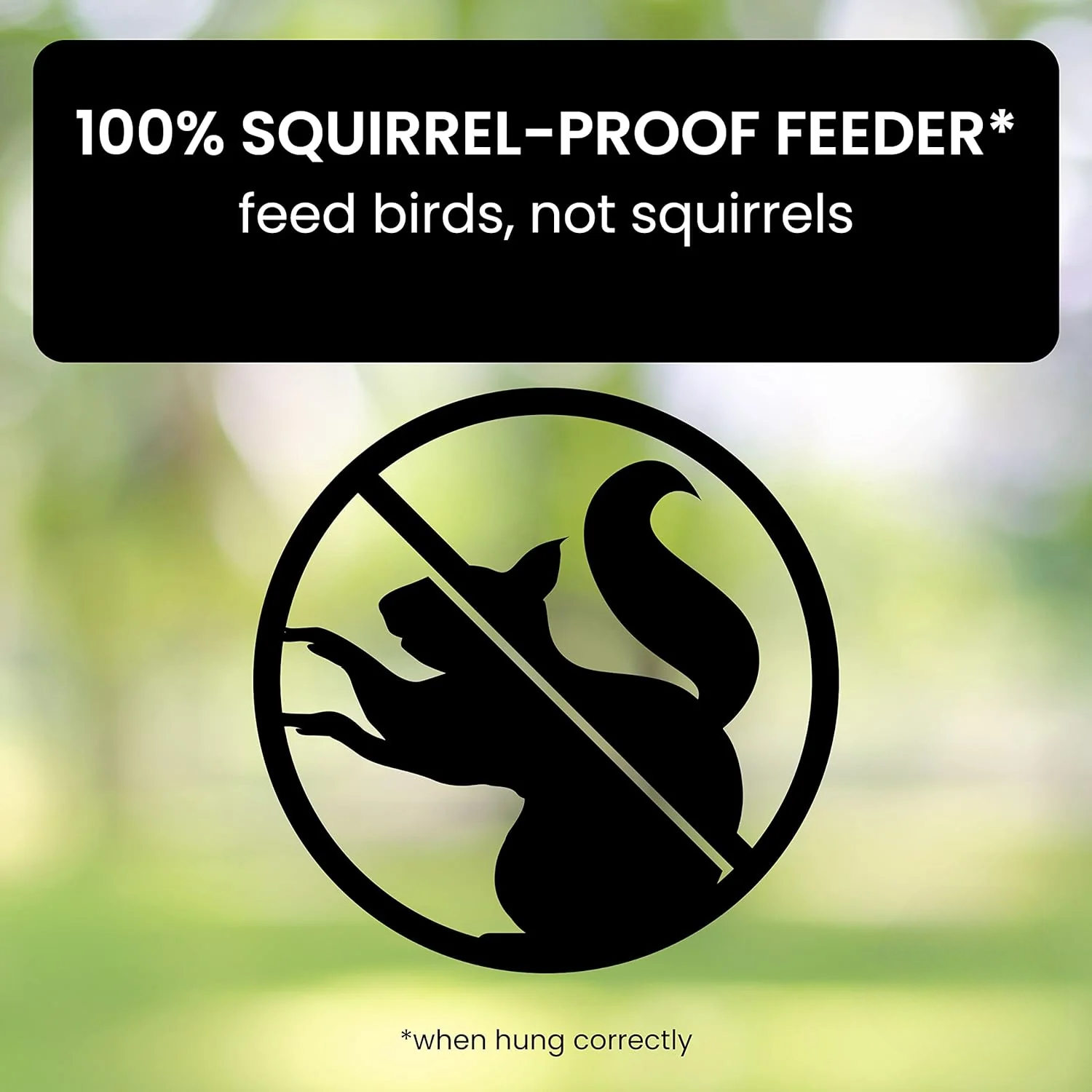 GoFeed | Squirrel Proof Bird Feeder