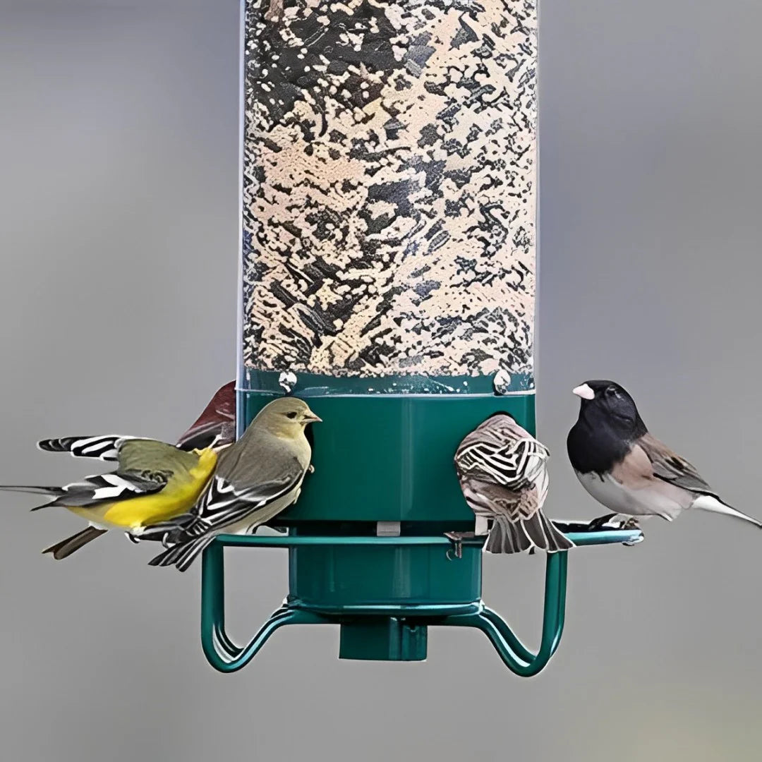 GoFeed | Squirrel Proof Bird Feeder