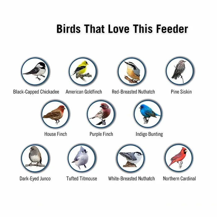 GoFeed | Squirrel Proof Bird Feeder